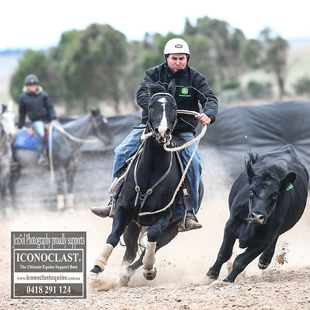 GoulburnCampdraft2018_8910