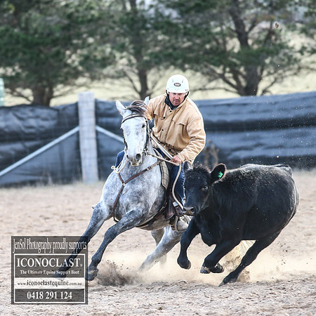 GoulburnCampdraft2018_9107
