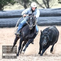 GoulburnCampdraft2018_8753