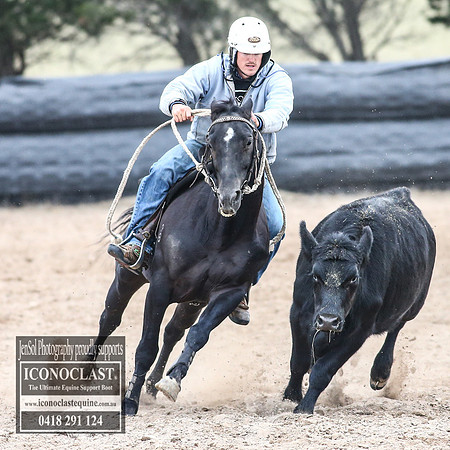 GoulburnCampdraft2018_8753