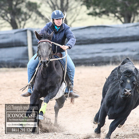 GoulburnCampdraft2018_8975