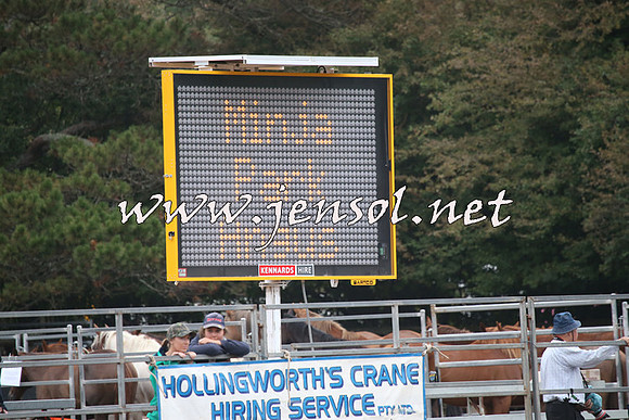 TaralgaRodeo2016_4103