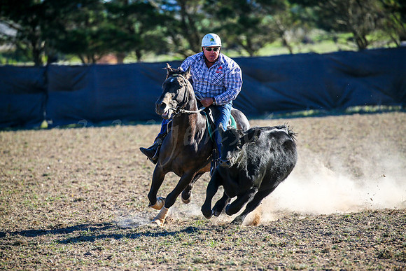 GoulburnCampdraft2017-0976