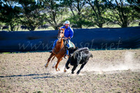 GoulburnCampdraft2017-0885