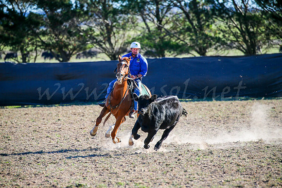 GoulburnCampdraft2017-0885