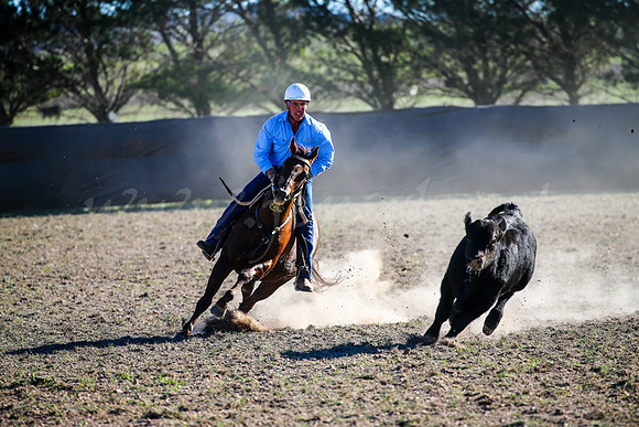 GoulburnCampdraft2017-0952