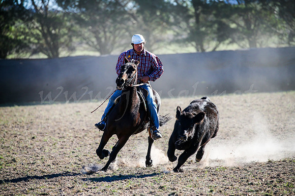 GoulburnCampdraft2017-0899