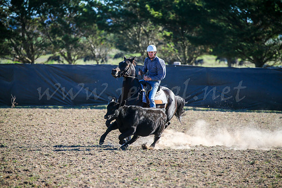 GoulburnCampdraft2017-0909