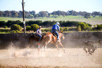 GoulburnCampdraft2017-0891