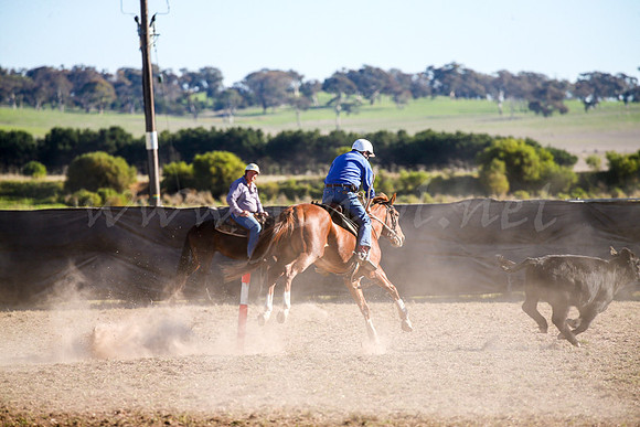 GoulburnCampdraft2017-0891