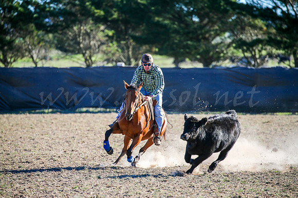 GoulburnCampdraft2017-0877