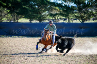 GoulburnCampdraft2017-0880
