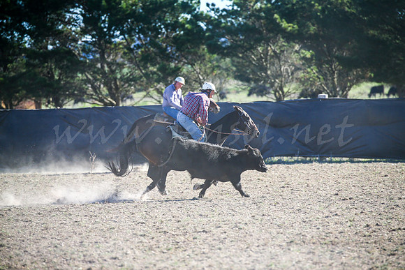 GoulburnCampdraft2017-0906