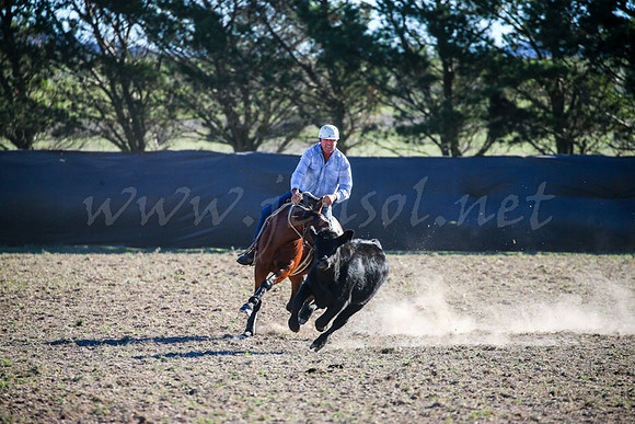 GoulburnCampdraft2017-0945