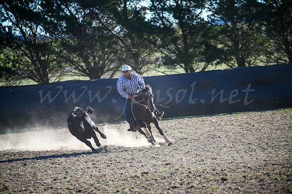 GoulburnCampdraft2017-1006