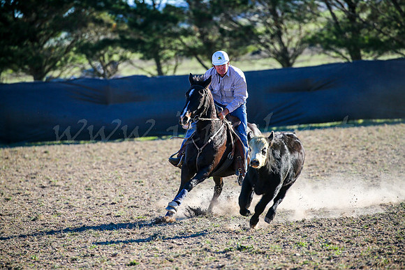 GoulburnCampdraft2017-1014