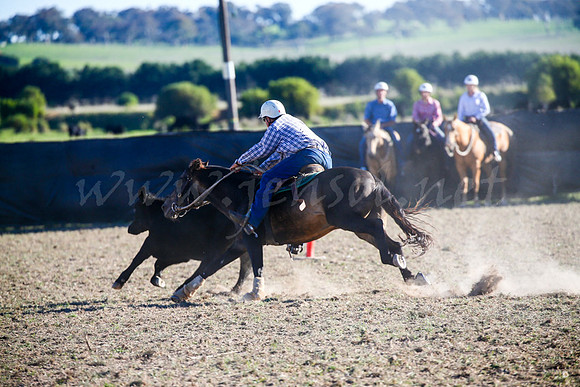 GoulburnCampdraft2017-0997