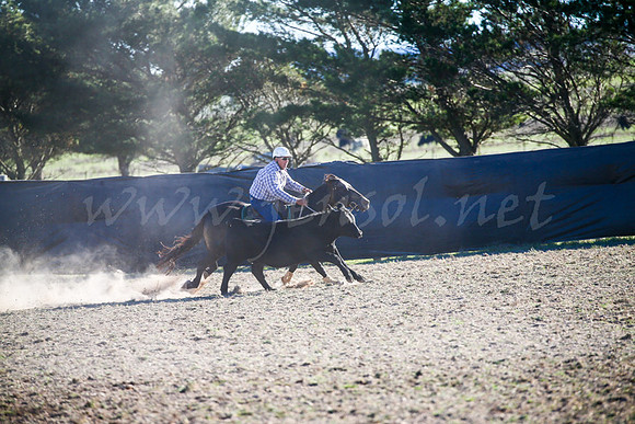 GoulburnCampdraft2017-1000