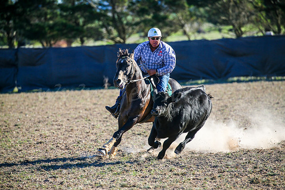 GoulburnCampdraft2017-0981