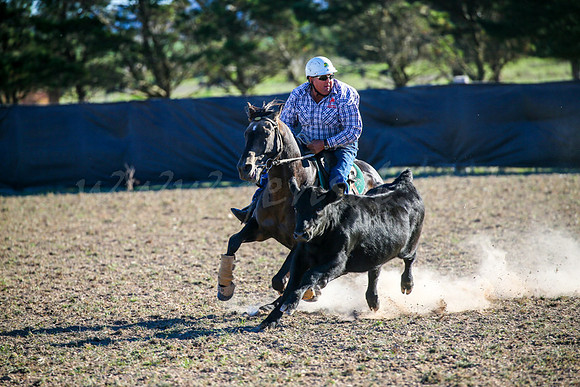 GoulburnCampdraft2017-0978