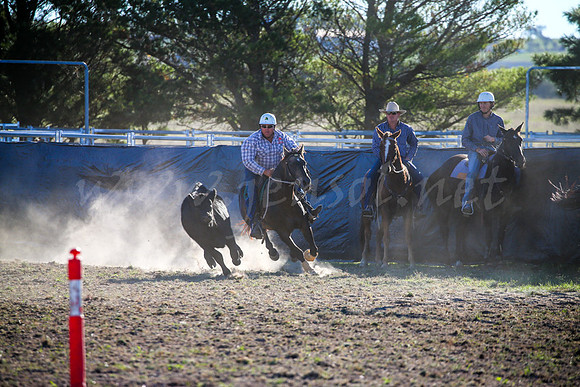 GoulburnCampdraft2017-0971