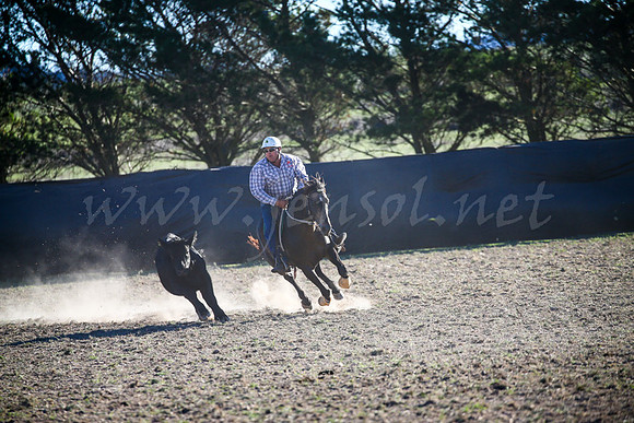 GoulburnCampdraft2017-1007