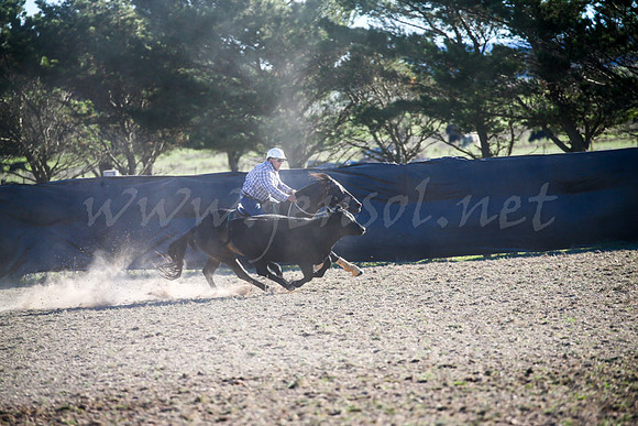 GoulburnCampdraft2017-1001