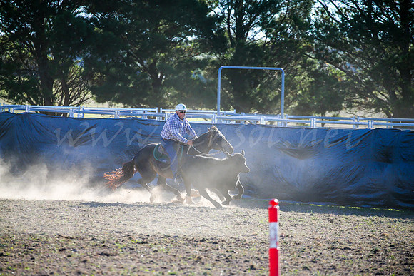 GoulburnCampdraft2017-0961