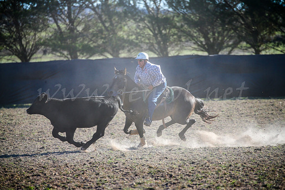 GoulburnCampdraft2017-0990