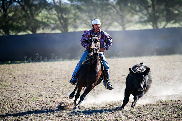 GoulburnCampdraft2017-0893