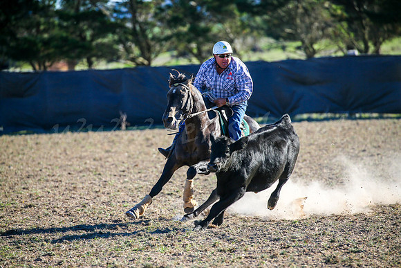 GoulburnCampdraft2017-0980