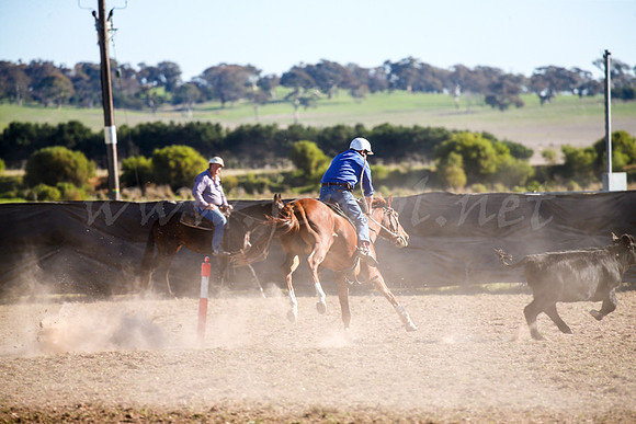 GoulburnCampdraft2017-0890