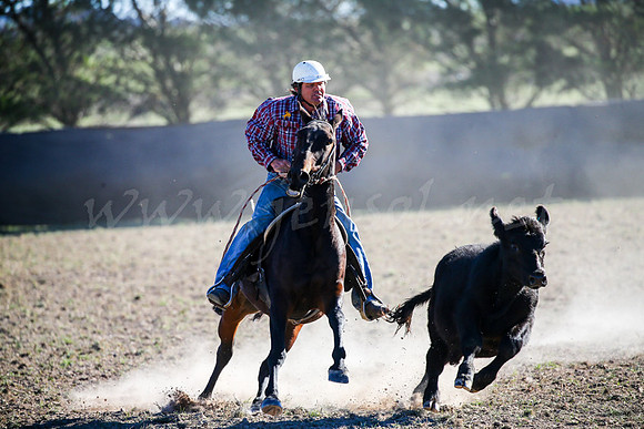 GoulburnCampdraft2017-0896