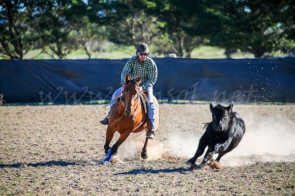GoulburnCampdraft2017-0875