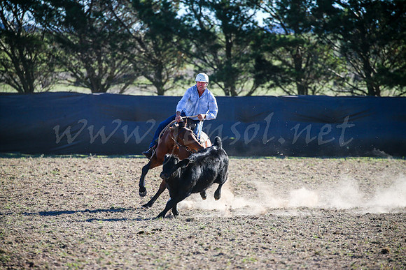 GoulburnCampdraft2017-0947
