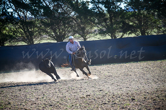 GoulburnCampdraft2017-1009