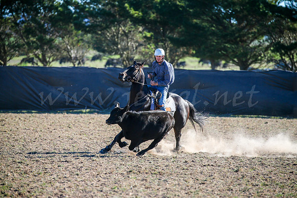 GoulburnCampdraft2017-0915