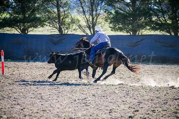 GoulburnCampdraft2017-0958