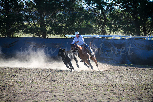GoulburnCampdraft2017-0941