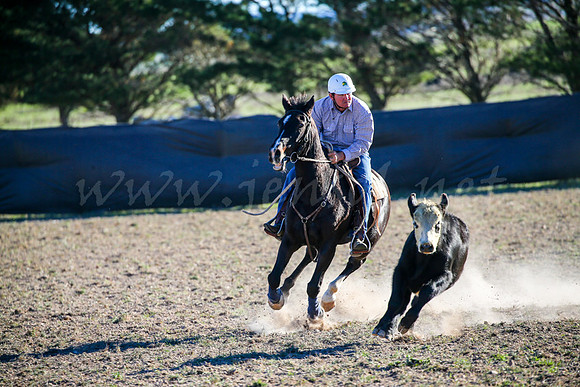 GoulburnCampdraft2017-1011