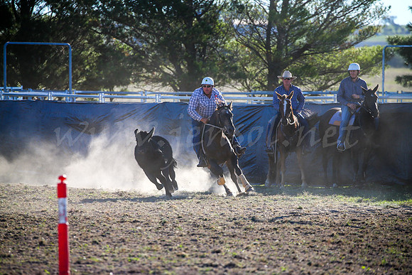 GoulburnCampdraft2017-0965
