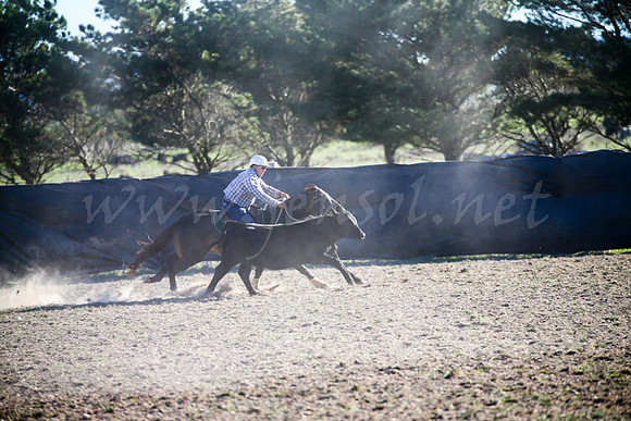 GoulburnCampdraft2017-1003