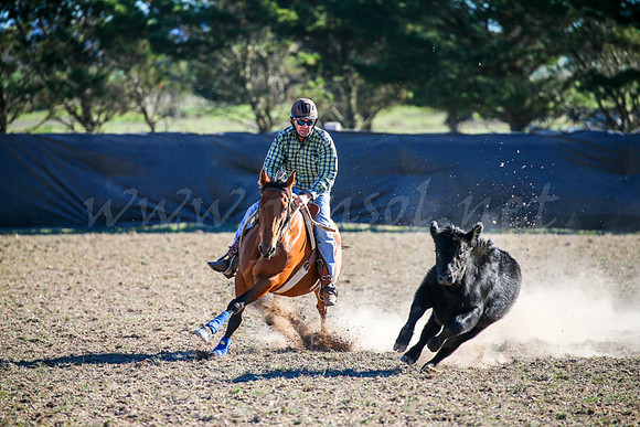 GoulburnCampdraft2017-0874