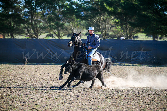 GoulburnCampdraft2017-0910