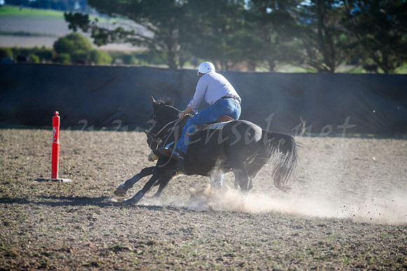 GoulburnCampdraft2017-1018