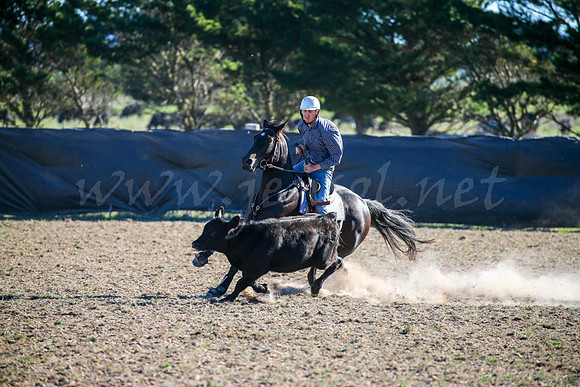 GoulburnCampdraft2017-0917