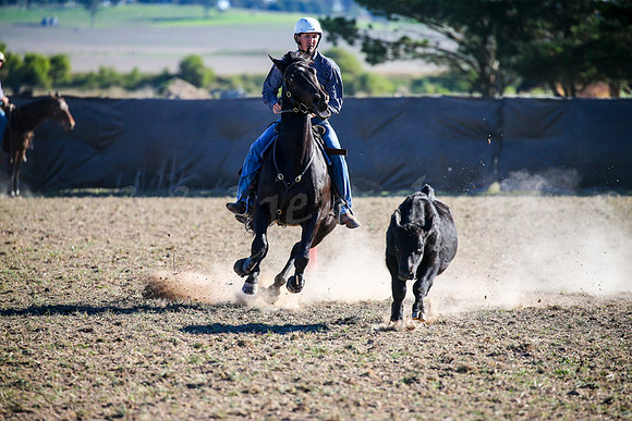 GoulburnCampdraft2017-0924
