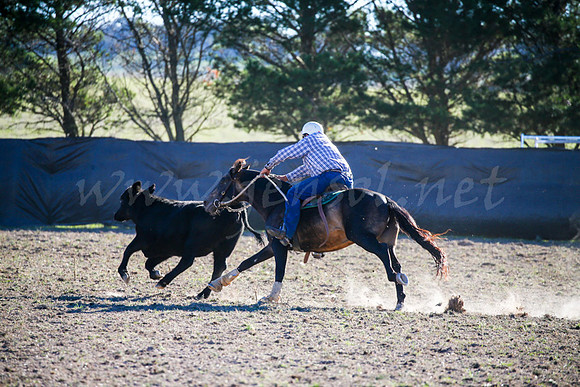 GoulburnCampdraft2017-0960