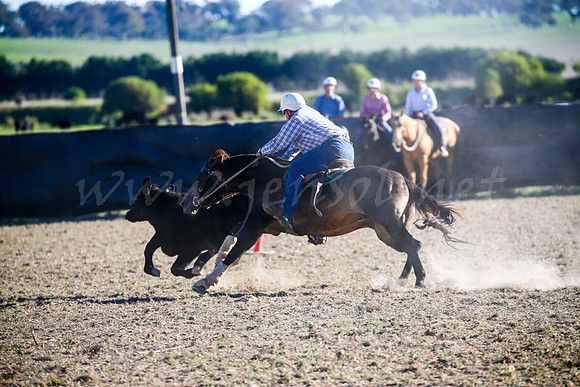 GoulburnCampdraft2017-0998