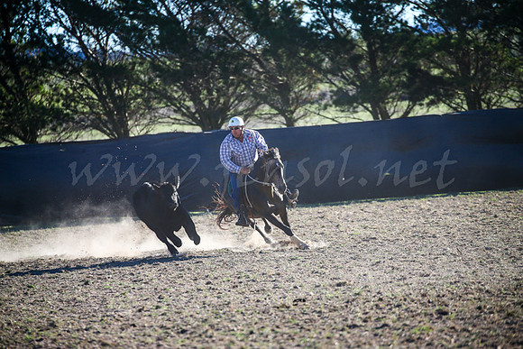 GoulburnCampdraft2017-1010